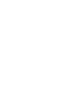 academy of professional accountants Logo